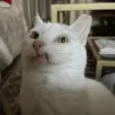 ස්ටිකර්