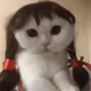 ස්ටිකර්