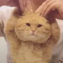 ස්ටිකර්