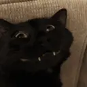 ස්ටිකර්