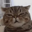 ස්ටිකර්