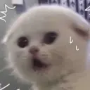 ස්ටිකර්