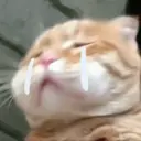 ස්ටිකර්