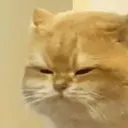 ස්ටිකර්