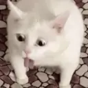 ස්ටිකර්