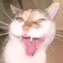 ස්ටිකර්