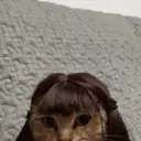 ස්ටිකර්