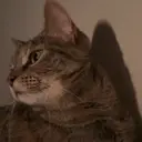 สติกเกอร์