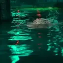 స్టికర్