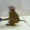 স্টিকার