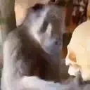 স্টিকার