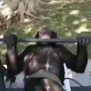 স্টিকার