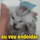 ස්ටිකර්