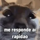 ස්ටිකර්