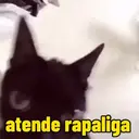 ස්ටිකර්