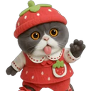 Կպչուն պիտակ