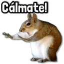 ස්ටිකර්