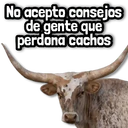 ස්ටිකර්