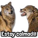 ස්ටිකර්