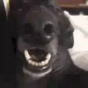 Կպչուն պիտակ